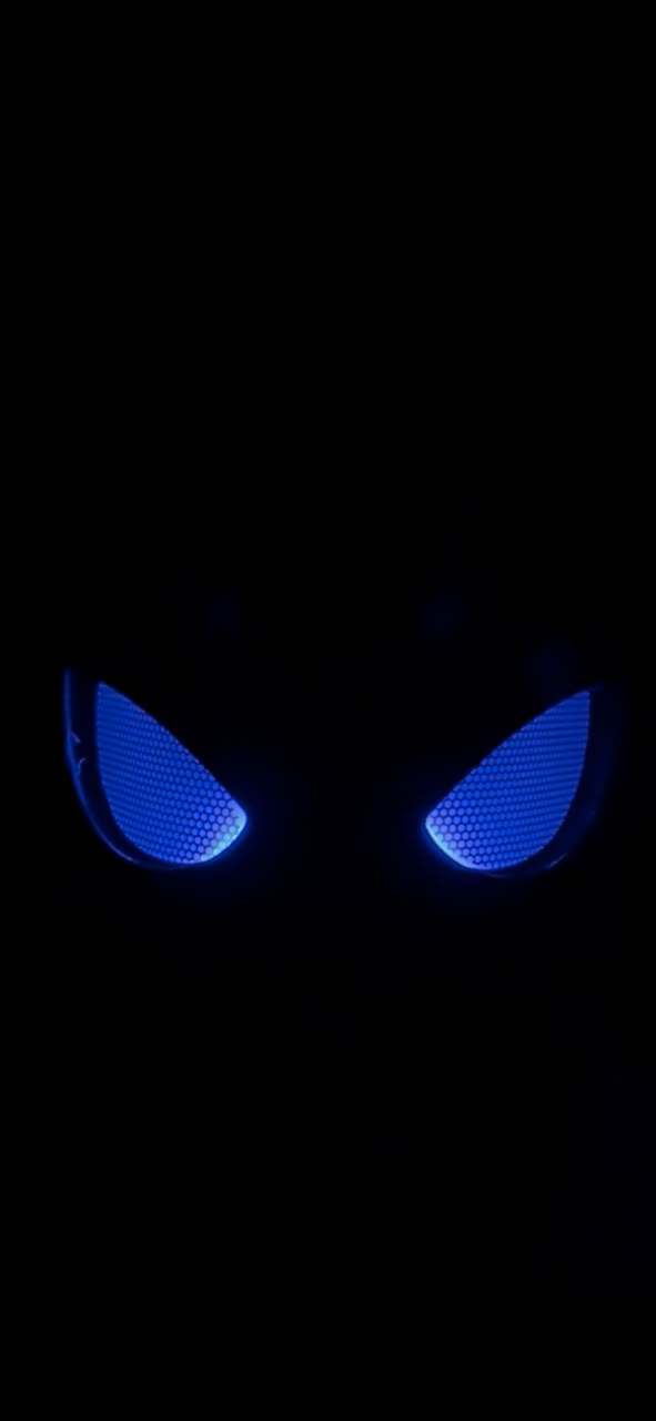 Black Spider LED Mask with Remote & Ring