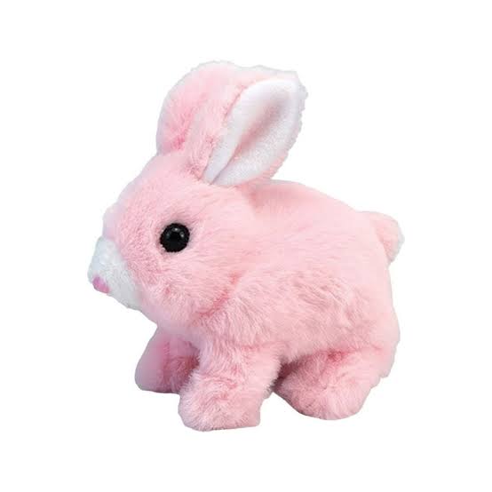 Cute Stuffed Rabbit with Chu-Chu Sound – Soft Baby Toy